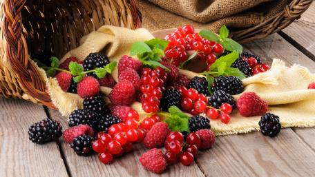 Berries wallpaper