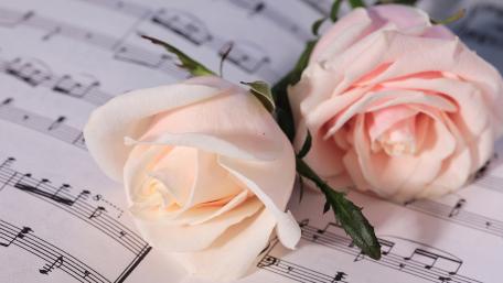 Pink Roses and Musical Notes wallpaper