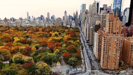 Central Park wallpaper