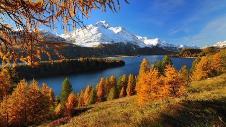 Lake Sils wallpaper