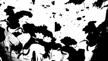 Crane wallpaper