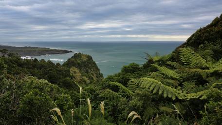 Serene Coastal Horizon Amidst Lush Greenery wallpaper