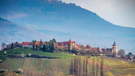Charming Village Amidst Rolling Hills wallpaper