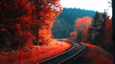 Curvy railway wallpaper