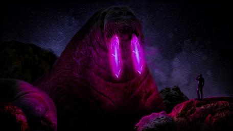 Mighty walrus wallpaper