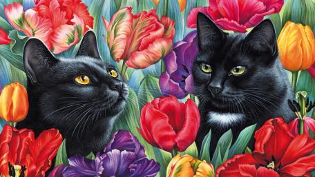 Black Cats in a Tulip Wonderland wallpaper