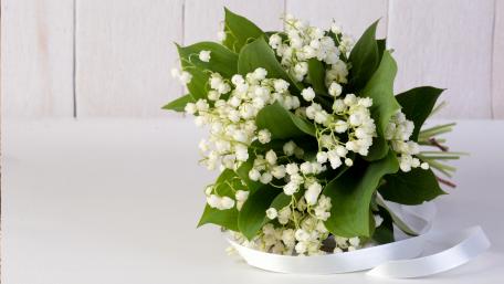 Lily of the valley wallpaper