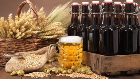 Golden Beer and Barley Harvest Wallpaper wallpaper