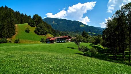 Serene Alpine Meadow Landscape Under Blue Skies wallpaper
