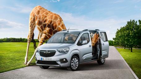 Giraffe's Joyride Adventure wallpaper