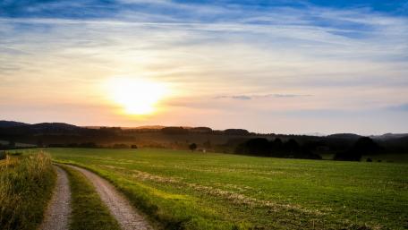Serene Sunset Over a Tranquil Dirt Road in Nature wallpaper