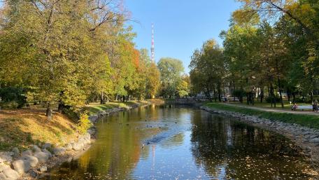 Serene City Park in Autumn Colors wallpaper