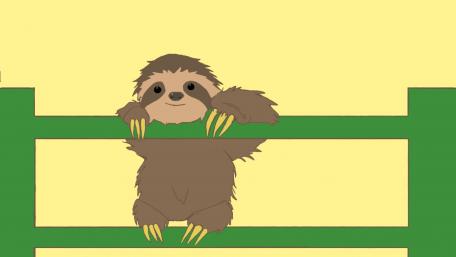 Cute Sloth Cub wallpaper