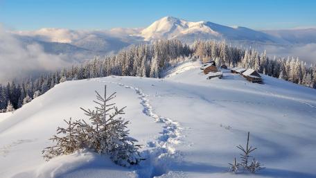 Serene Winter Wonderland Scene wallpaper