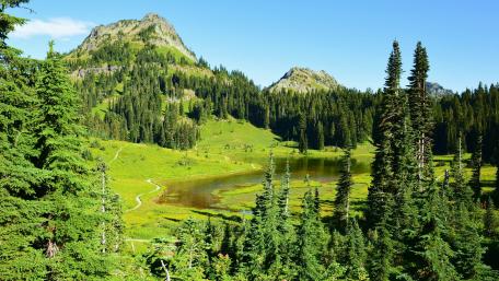 Serene Mountain Landscape with Lush Greenery wallpaper