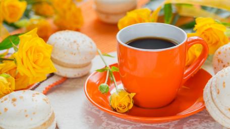Vibrant Coffee and Floral Delight Wallpaper wallpaper