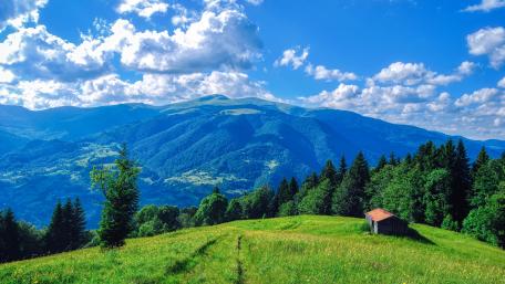 Carpathians wallpaper