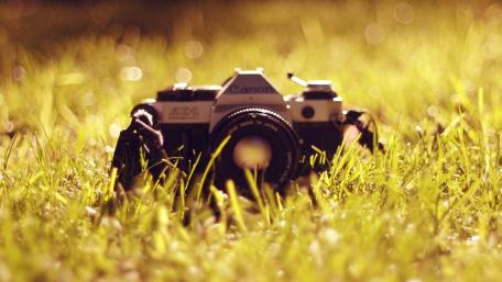 Vintage Camera Among Green Grass Scene wallpaper