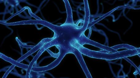 Neuron wallpaper