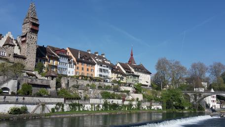 Bremgarten wallpaper