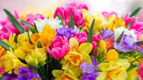 Springtime Blossoms in 4K Pure Joy wallpaper