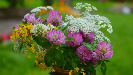Wildflower bouquet wallpaper