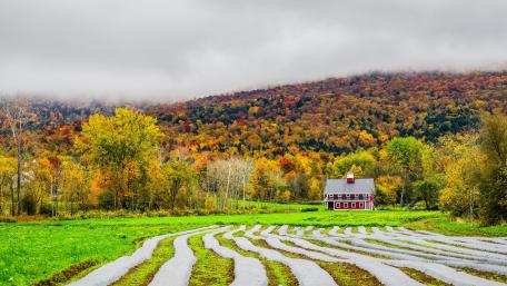 Autumn Serenity in a Countryside Cottage wallpaper