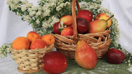 Vibrant Fruit Basket Collection for Your Screen wallpaper