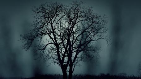 Mysterious tree wallpaper