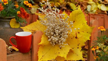 Autumn Vibes with Cozy Mug and Leaves wallpaper