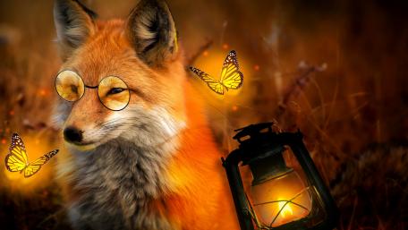 Fox with glowing butterflies wallpaper