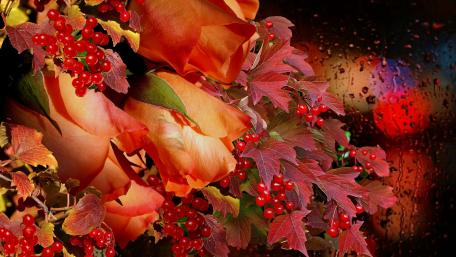 Autumn Roses with Raindrops and Bokeh Lights wallpaper