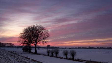 Serene Winter Dawn Over Snowy Fields wallpaper