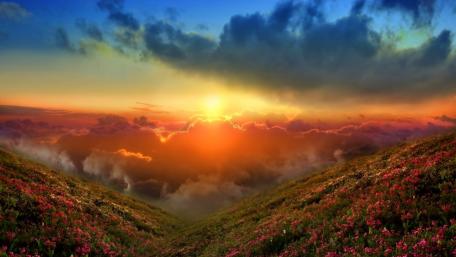 Majestic Sunset Over Flowered Valley wallpaper