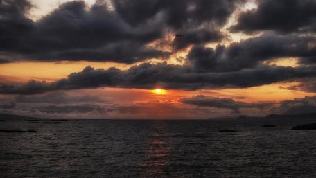 Majestic Sunset Over the Horizon wallpaper