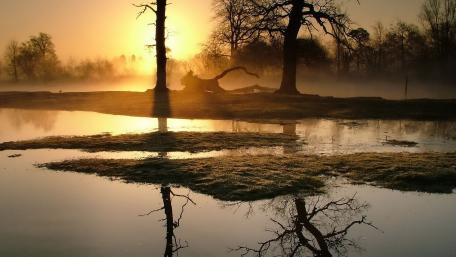 Golden Dawn over Tranquil Waters wallpaper