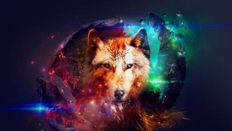 Trippy wolf wallpaper