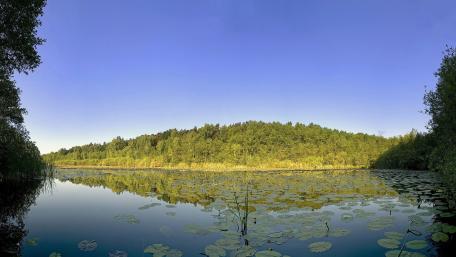 Serene Lake Reflections in Nature's Embrace wallpaper