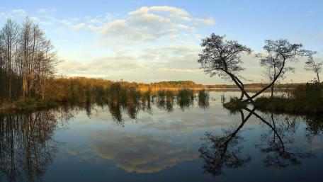 Serene Lakeside Reflections in Nature wallpaper