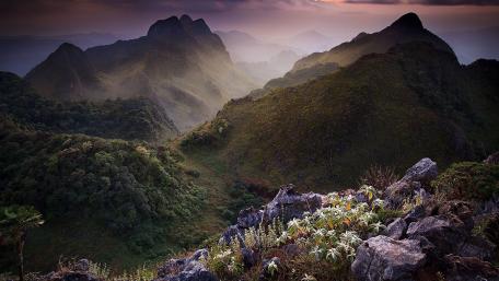 Thai mountains wallpaper