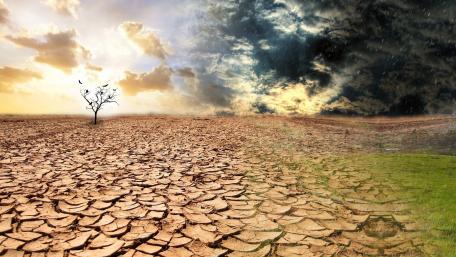 Desolate Landscape of Change and Survival wallpaper