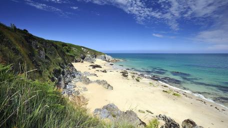 Tranquil Shoreline Serenity wallpaper