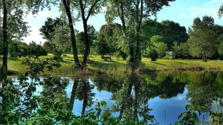 Serene Reflection of Nature in a Tranquil Park Scene wallpaper