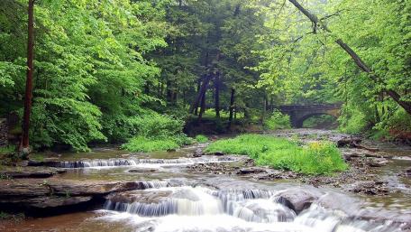 Serenity in Nature's Embrace wallpaper