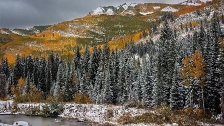 Autumn snow wallpaper