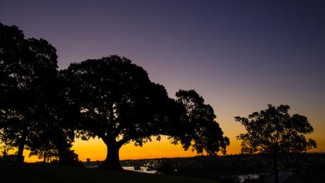 Serene Silhouettes Against a Vibrant Sunset wallpaper