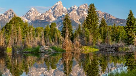 Grand Teton wallpaper