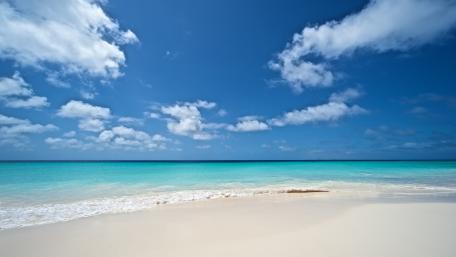 Serene Blue Horizon in Summertime Sunshine wallpaper