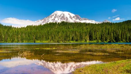Mount Rainier National Park wallpaper