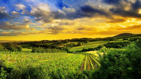 Serene Rural Landscape in Vibrant Colors wallpaper